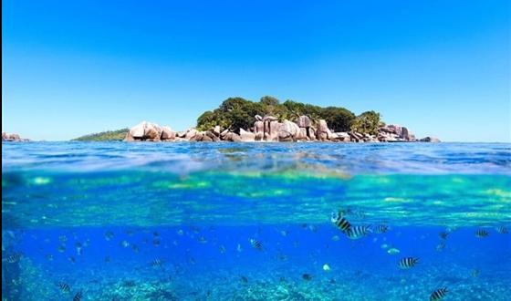 流芳百世岳太守