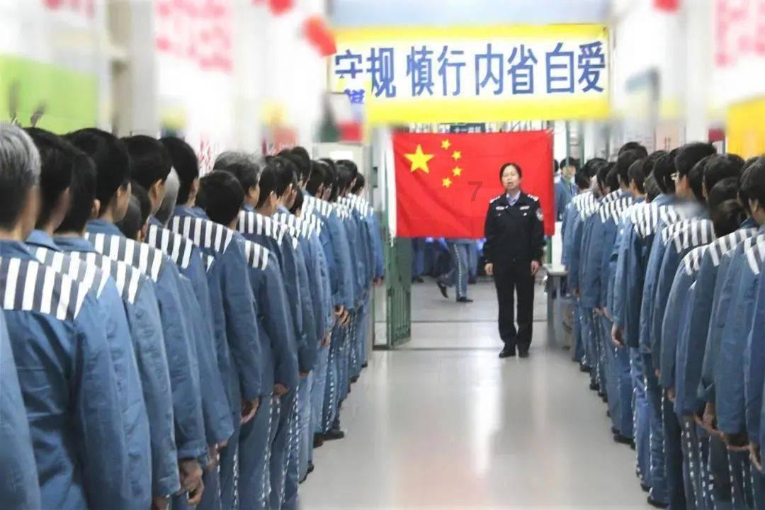 猫咪摸了体外驱虫药偶尔还抓是什么情况？游戏画面