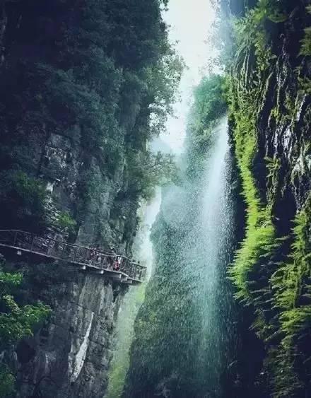 逃离壳牌岛