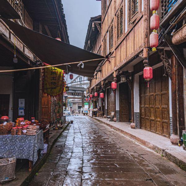 奥莉的夏威夷之旅