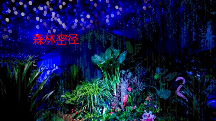 魔法比赛